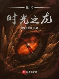 掌控时光之龙章节列表
