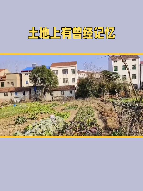 土地上有曾经记忆章节列表