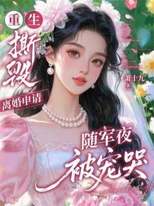 重生撕毁离婚申请，随军夜被宠哭章节列表