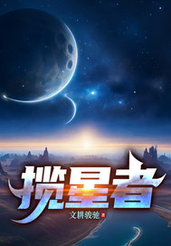 揽星者章节列表